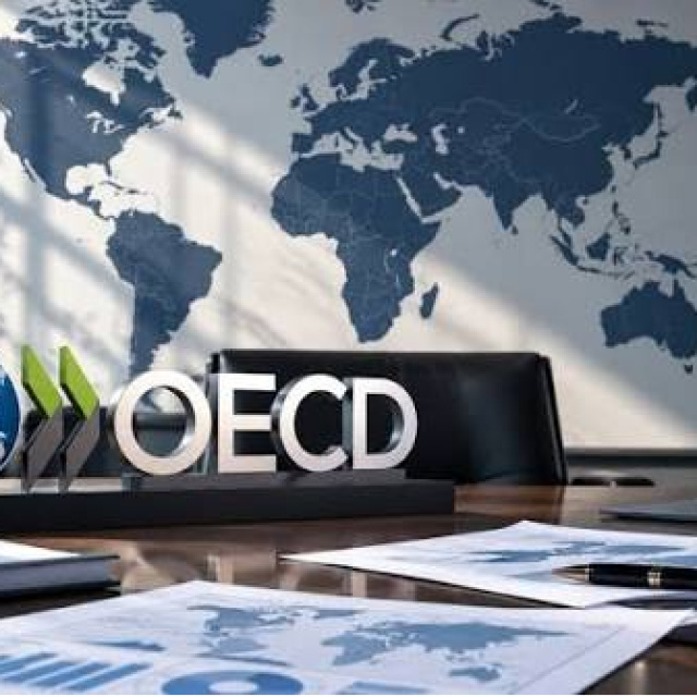 OECD'den Türkiye ekonomisi için büyüme tahmini