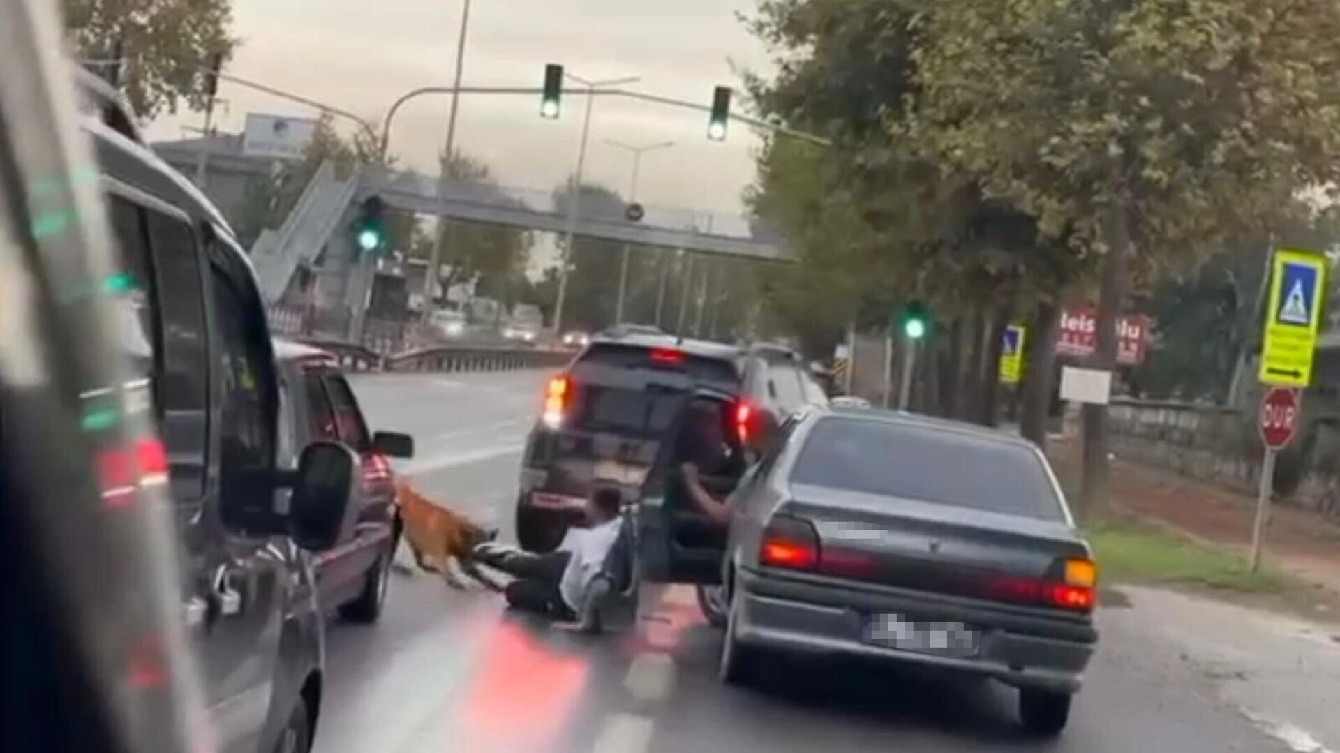 Köpek, yürüyen adama saldırdı
