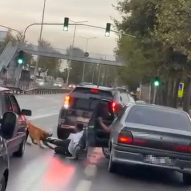Köpek, yürüyen adama saldırdı
