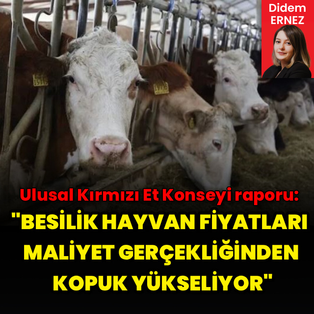 "Besilik hayvan fiyatları maliyet gerçekliğinden kopuk yükseliyor"