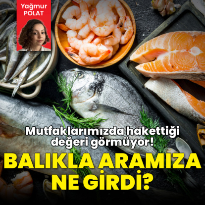 Balık mutfağımızı neden terk etti?