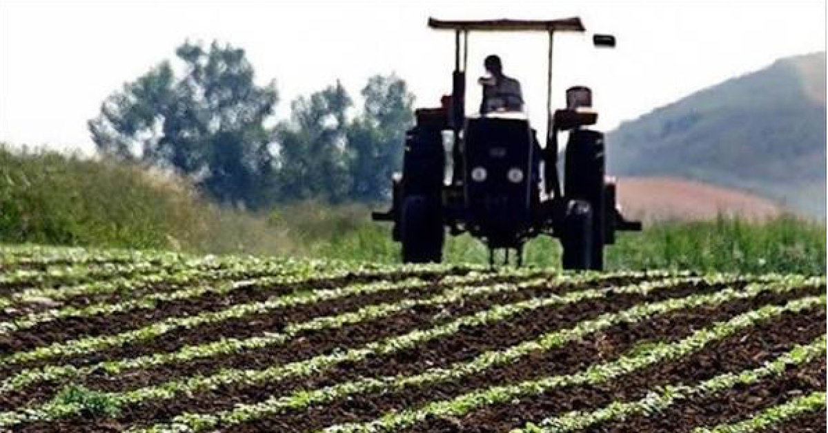 Tarım ve kırsal refah projesine Dünya Bankası'ndan destek