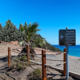 Didim'de ortaya çıktı, koruma altına alındı