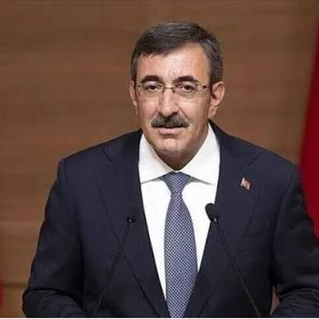 "Türkiye ekonomisinin 2029'da yüzde 5 büyümesini öngörüyoruz"