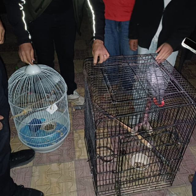 Belgesiz papağan satışına 30 bin TL ceza