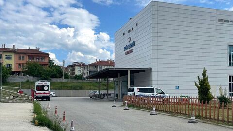 Kastamonu'da yaşanan feci olayda, ağaç keserken arı sokması sonucu