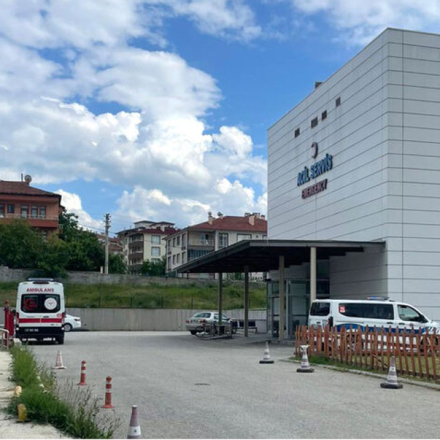 Arı sokması can aldı!