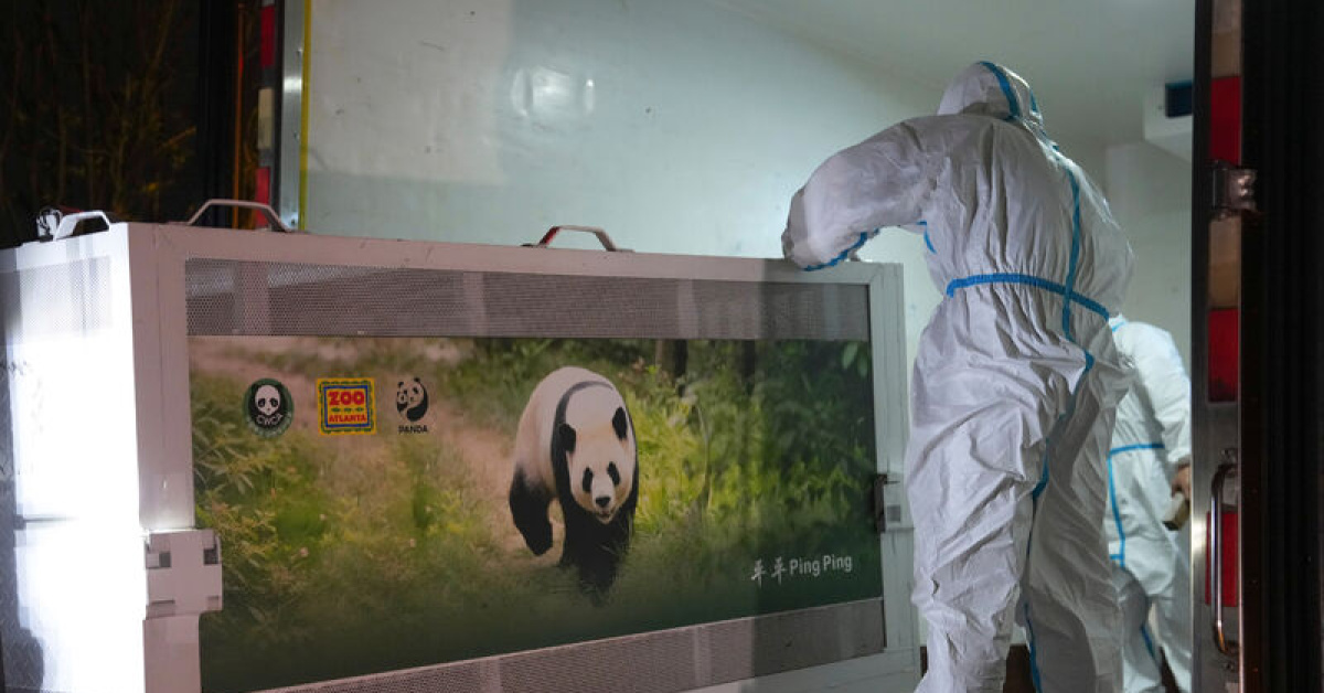 ABD-Çin hattında panda diplomasisi