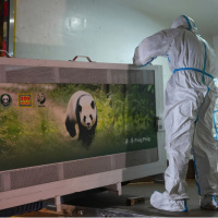 ABD-Çin hattında panda diplomasisi
