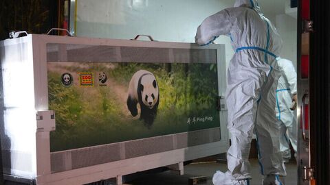 Günün notu | ABD-Çin hattında panda diplomasisi