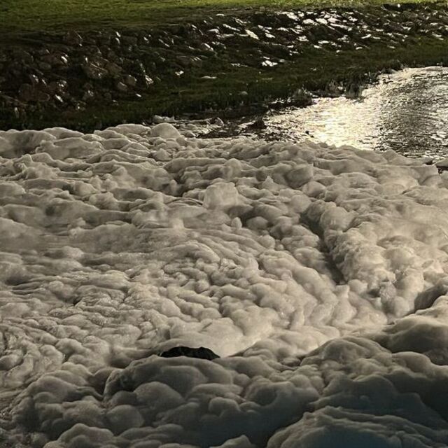 Yoğun köpük analizi tamamlandı