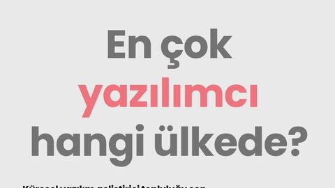 En çok yazılımcı hangi ülkede?