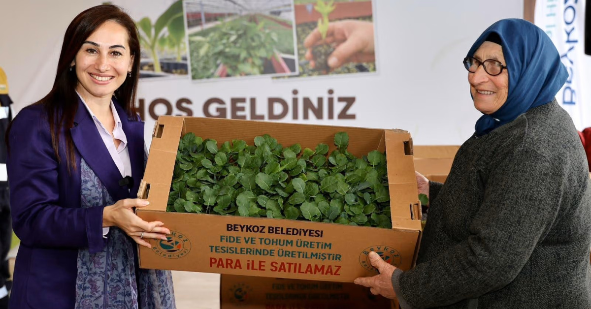 Beykoz'da çiftçilere kışlık fide desteği