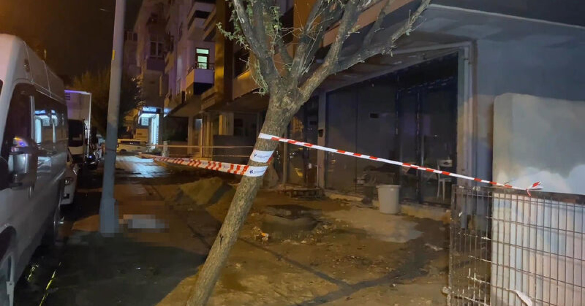 Akıma kapılan köpek öldü, sahibi yaralandı