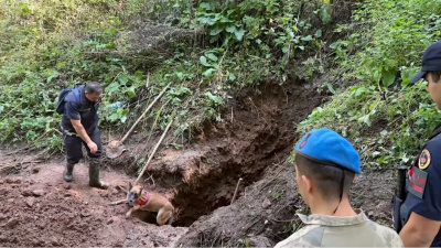 Bakan Çiftçi açıkladı! 30 yıllık cinayette sır çözüldü