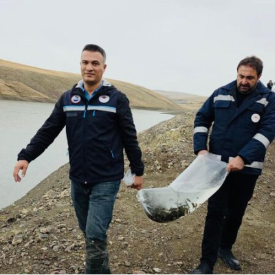 Van'da göletlere 700 bin sazan yavrusu bırakıldı