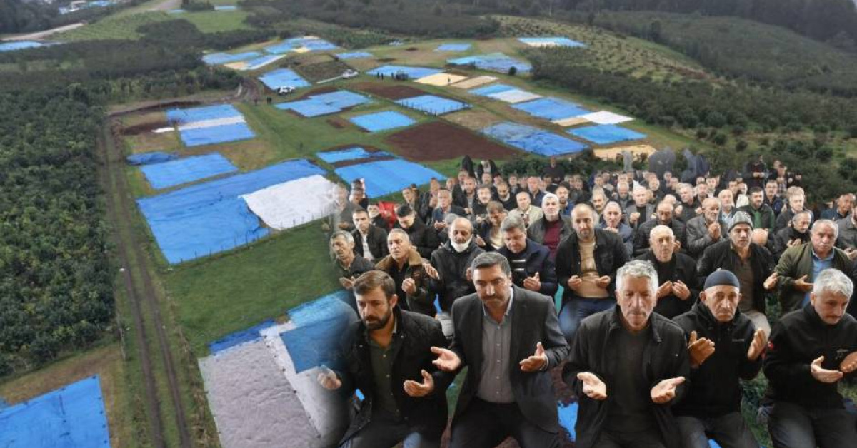 Üreticiler bu kez "güneş duası" yaptı