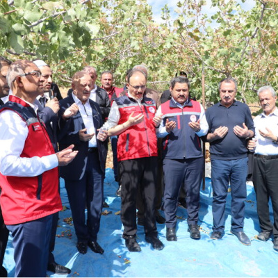 Siirt Fıstığı Doğa ve Kültür Festivali