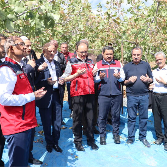 Siirt Fıstığı Doğa ve Kültür Festivali