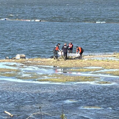 Meriç Nehri'nde cansız beden bulundu
