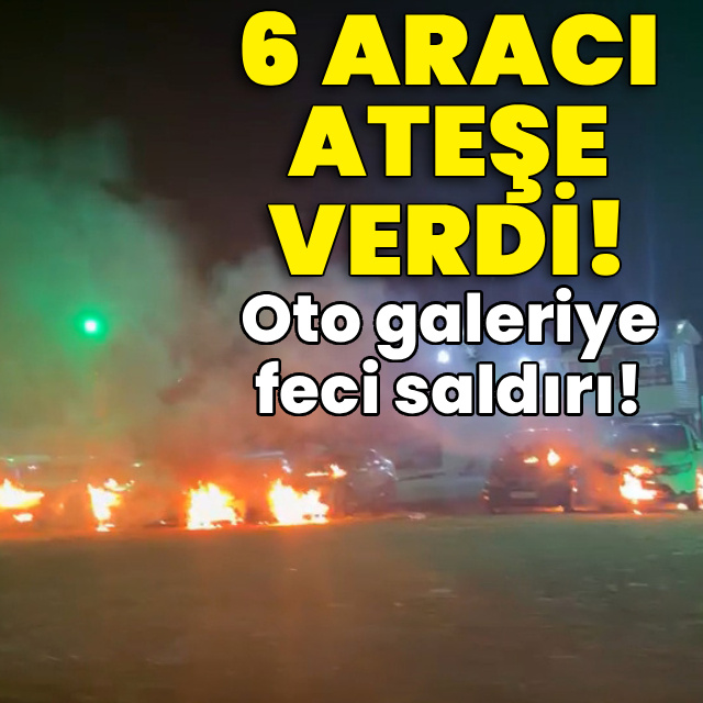 6 aracı kundakladı! Oto galeriye feci saldırı!