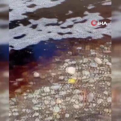 Yalova'da denizde kırmızı renkli su