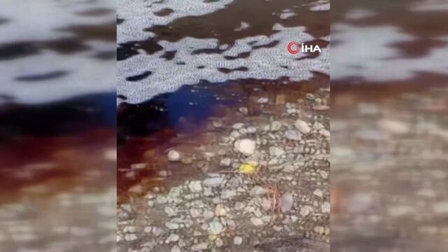Yalova'da denizde kırmızı renkli su