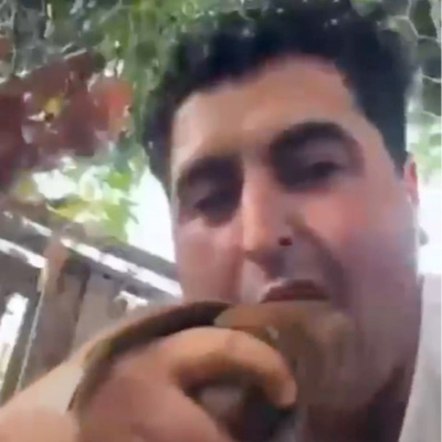 Kuşu öldürdü, başını ısırdı ve paylaştı
