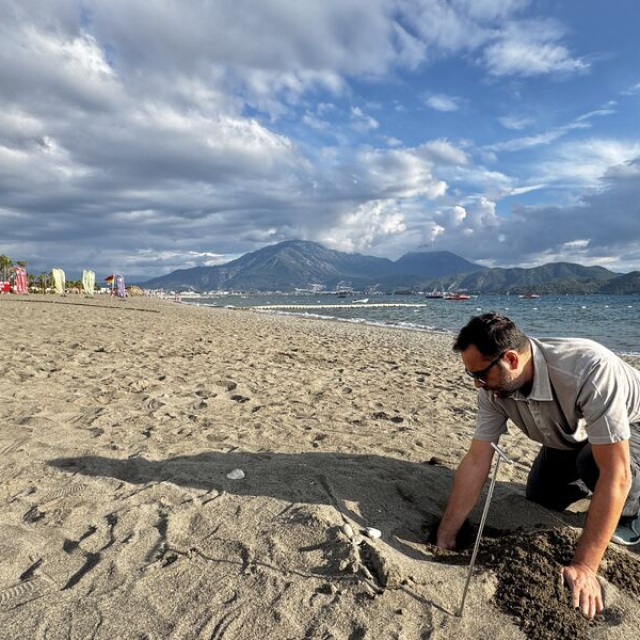Fethiye'de 6 bin yavru denizle buluştu