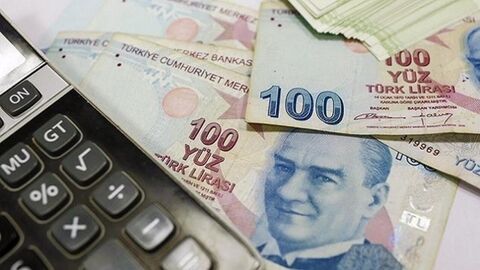 Reel efektif döviz kuru (REK) endeksi, eylülde Tüketici Fiyat Endeksi (TÜFE)