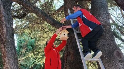 Kastamonu'da kuşlar için yuvalar hazırlandı
