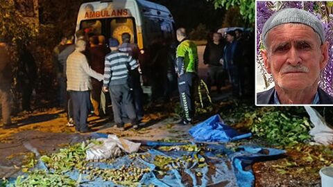 Ceviz uğruna hayatından oldu: Bilinenler ve sonraki adımlar