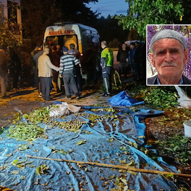Ceviz uğruna hayatından oldu