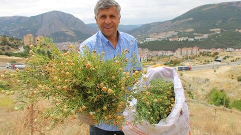 Günün notu | Nazardan koruduğuna inanılıyor, 60 liradan satılıyor