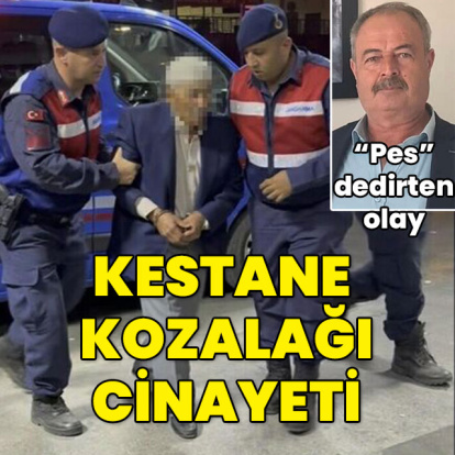 "Pes" dedirten olay! Kestane kozalağı cinayeti