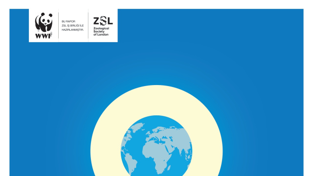 WWF'in 2026 Yaşayan Gezegen Raporu açıklandı