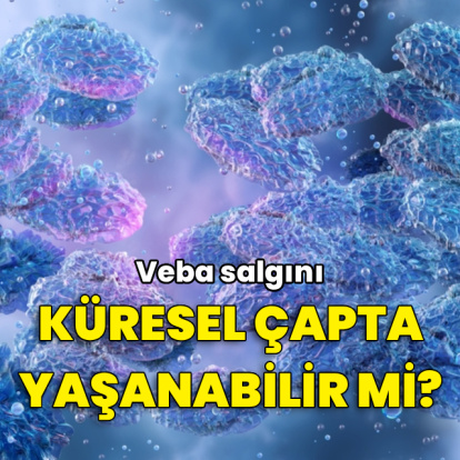 Veba salgınının küresel çapta yaşanması mümkün mü?