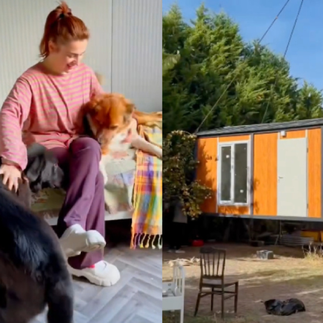 Ünlü şarkıcı köpeklerine ev yaptırdı