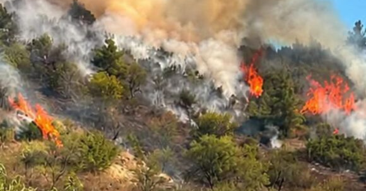 Six people detained over suspected forest fires in Antalya