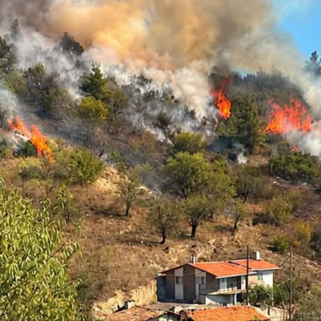Yangın çıkardığı öne sürülen 6 şüpheli yakalandı