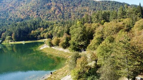 Günün notu | Sülüklü Göl Tabiat Parkı'nda sonbahar renkleri
