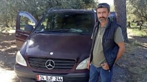 Zeytin toplarken arı soktu, can verdi! — ne oldu, sırada ne var?