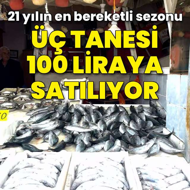 Üç tanesi 100 liraya satılıyor