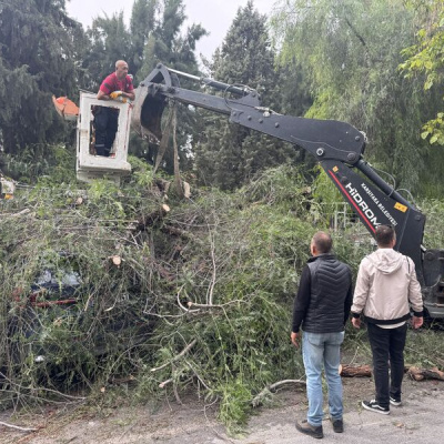 İzmir'de otomobillerin üzerine ağaç devrildi
