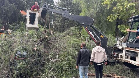 İzmir'de otomobillerin üzerine ağaç devrildi