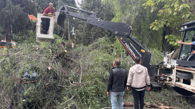 İzmir'de otomobillerin üzerine ağaç devrildi