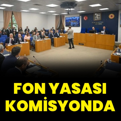 Fon yasası komisyonda