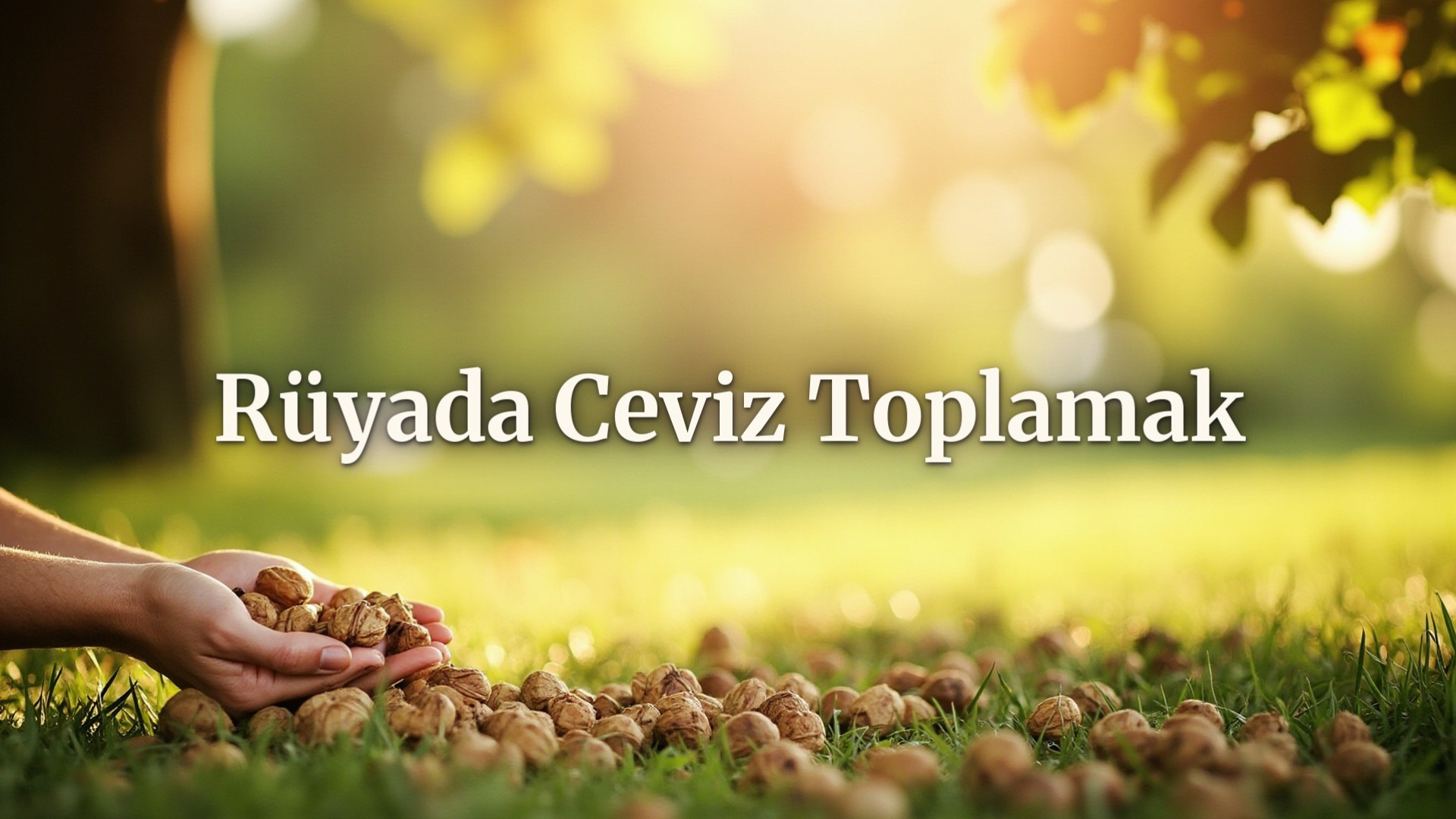 Rüyada ceviz toplamak ne anlama gelir?