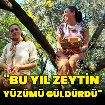 "Bu yıl zeytin yüzümü güldürdü"