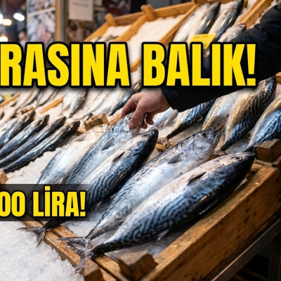 Ekmek parasına balık!